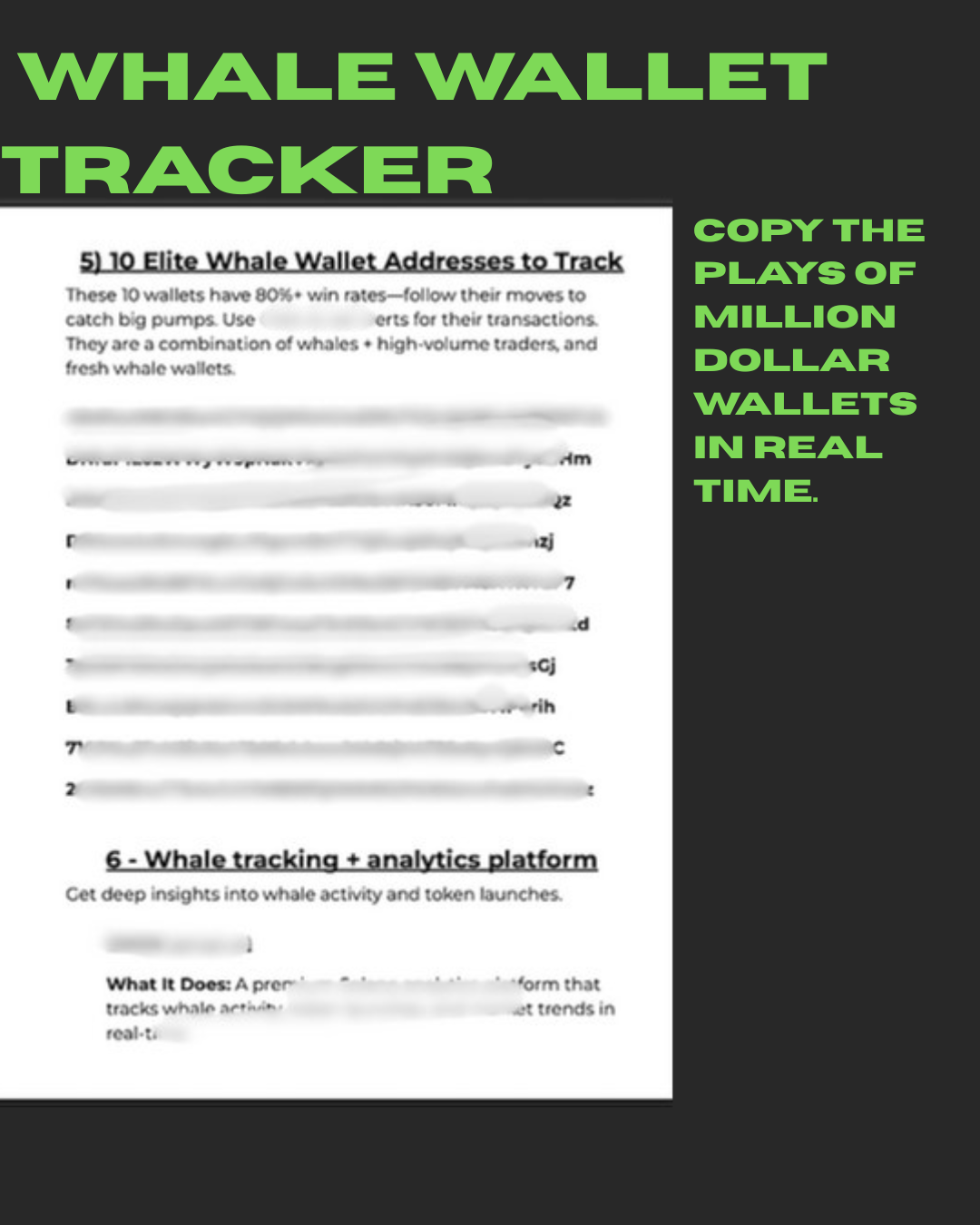 The Degen Blueprint™